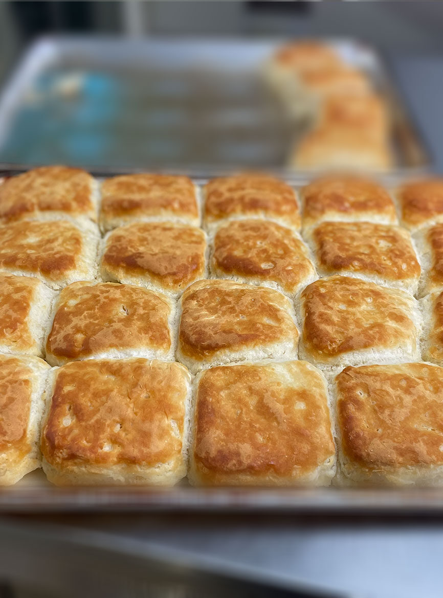 Plain Biscuit